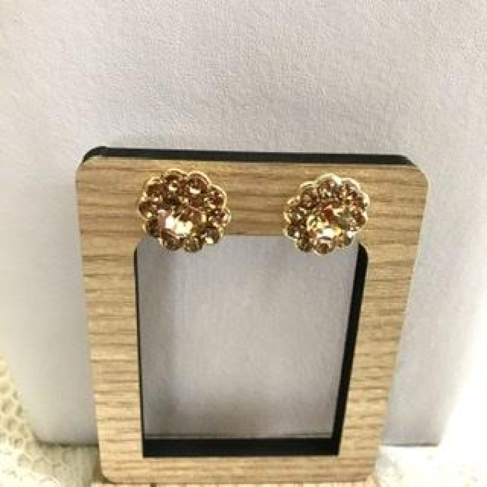 brinco redondo com strass